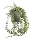 ARTIFICIAL PLANT SVENN POT W/STRINGS - Thumbnail 2