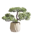 Artificial Plant BRYNJAR H22CM w/pot - Thumbnail 1