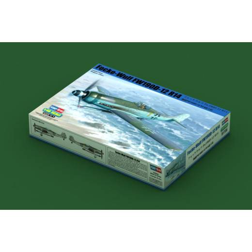 1:48 FOCKE-WULF FW190D-12R14