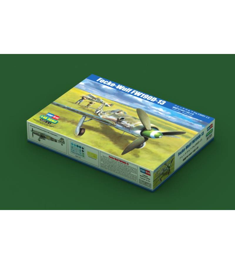 1:48 FOCKE-WULF FW190D-13