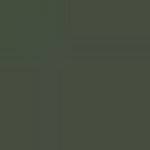 GERMANY N2M DARK GREEN RLM71 ENAMEL 14ml