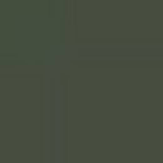 GERMANY N2M DARK GREEN RLM71 ENAMEL 14ml