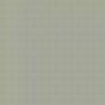 USA A31P LIGHT GULL GREY FS26440 ENAMEL 14ml