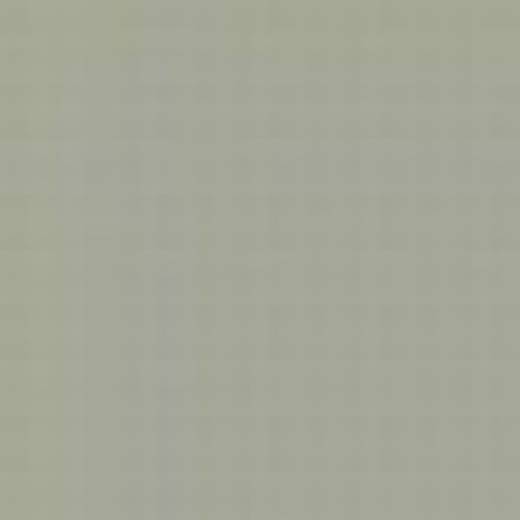 USA A31P LIGHT GULL GREY FS26440 ENAMEL 14ml