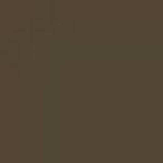 CZECH REPUBLIC C3P BROWN ENAMEL 14ml