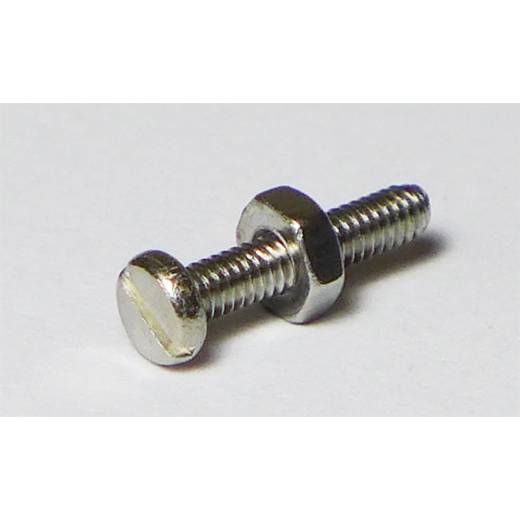 S/S 20 SCREWS c/w NUT 2.5x10mm