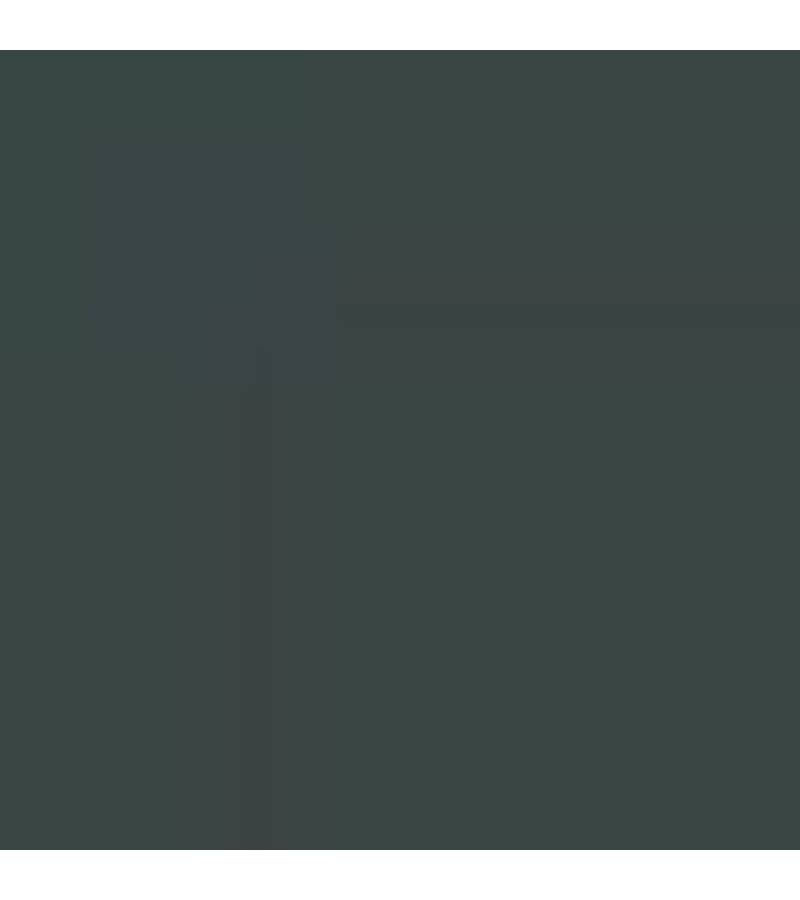 GERMANY N10M GREEN RLM73 ENAMEL 14ml