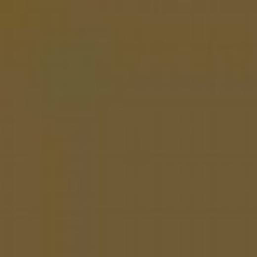 USA A19M BROWN FS303118 ENAMEL 14ml