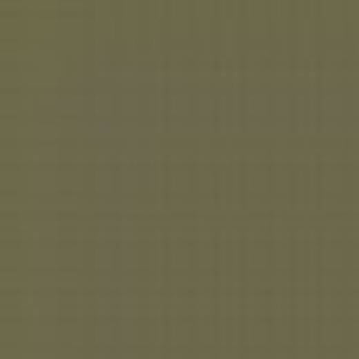 CZECH REPUBLIC C19M KHAKI ENAMEL 14ml