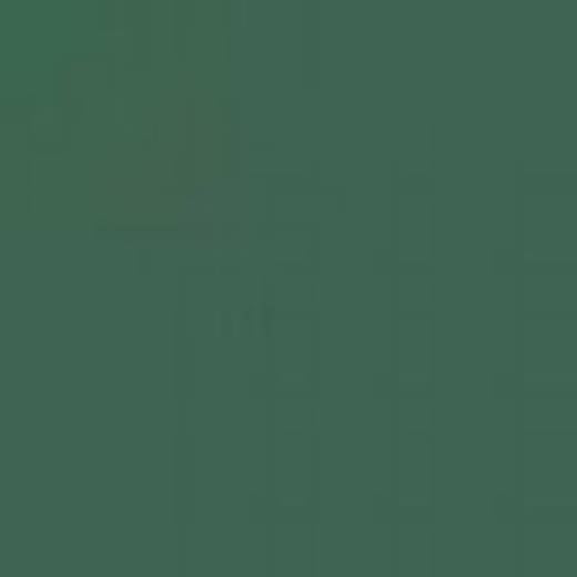 CZECH REPUBLIC C6P POLICE GREEN ENAMEL 14ml