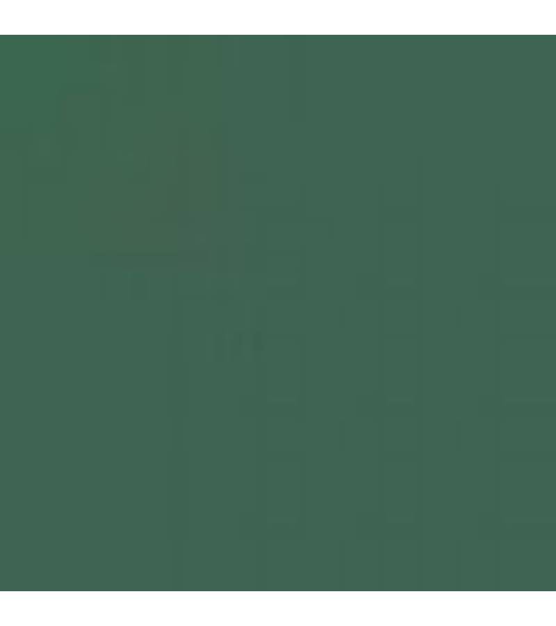 CZECH REPUBLIC C6P POLICE GREEN ENAMEL 14ml