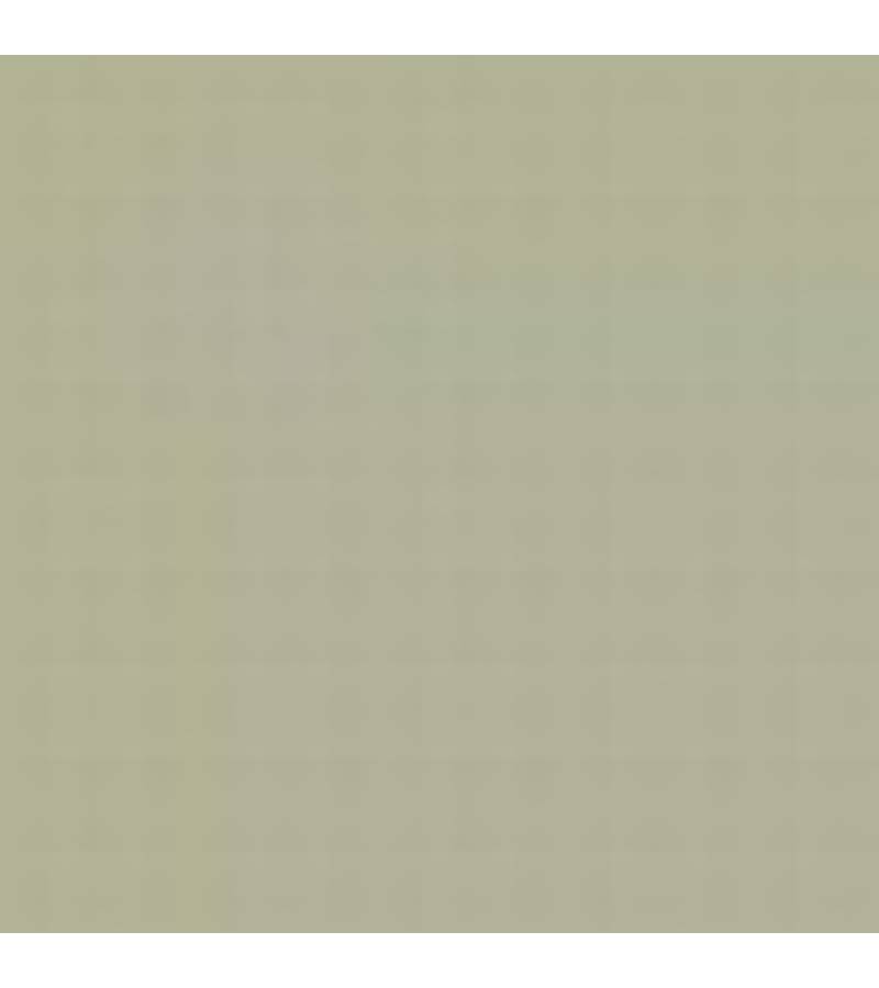 CZECH REPUBLIC C38P LIGHT GREY RAL7040 ENAMEL 14ml