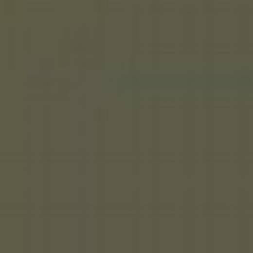 CZECH REPUBLIC C20P KHAKI 5450 ENAMEL 14ml