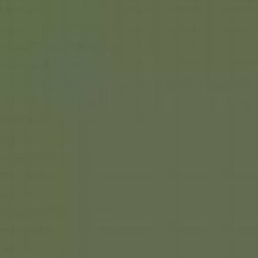 GERMANY N34M UNIFROM GREEN GREY ENAMEL 14ml