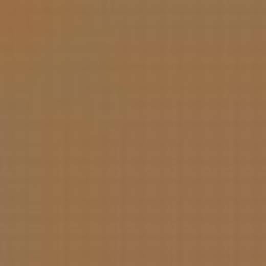 GERMANY N12M SAND BROWN RLM79 ENAMEL 14ml