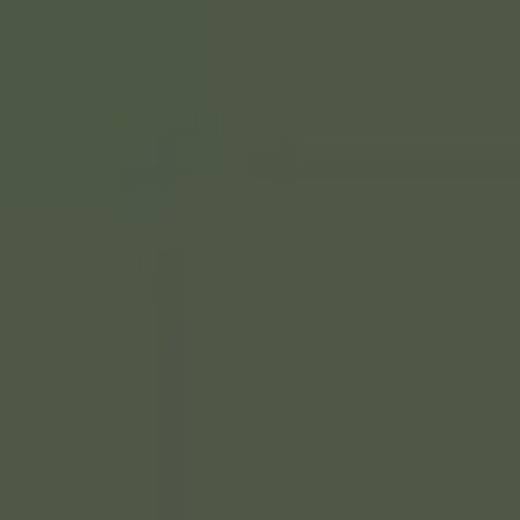 GERMANY N37M DARK GREEN ENAMEL 14ml