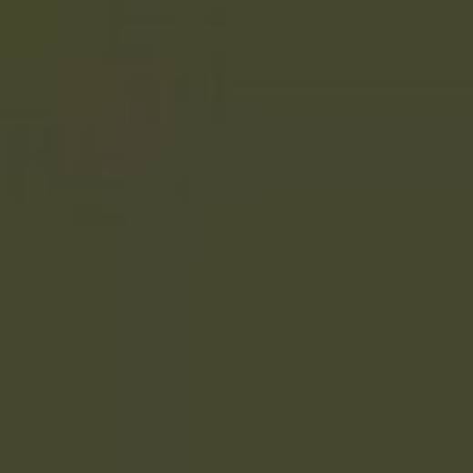 GREAT BRITAIN B31P GREEN NIVO ENAMEL 14ml