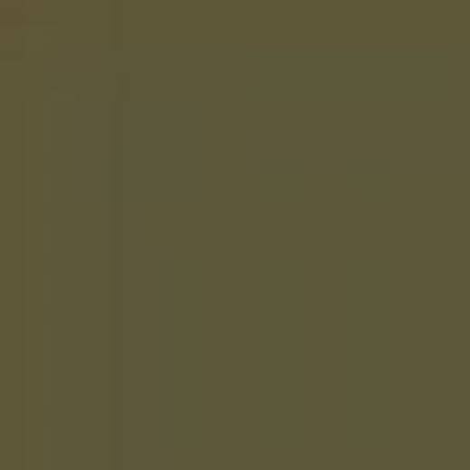 CZECH REPUBLIC C18P KHAKI ENAMEL 14ml