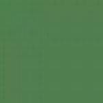 GLOSS 19L GREEN ENAMEL 14ml