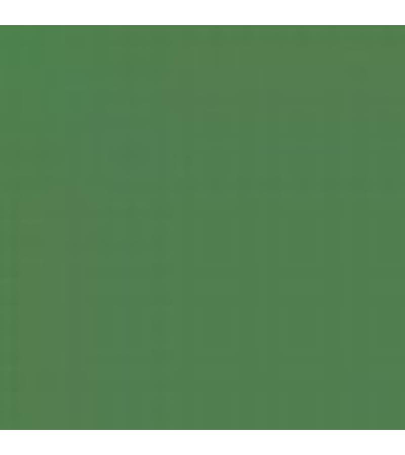 GLOSS 19L GREEN ENAMEL 14ml