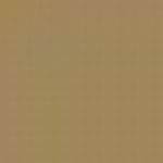 GERMANY N21M SAND YELLOW ENAMEL 14ml