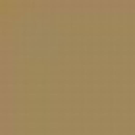 GERMANY N21M SAND YELLOW ENAMEL 14ml