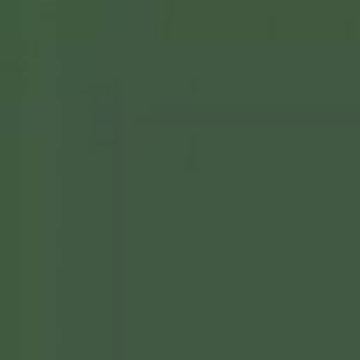 USA A16M GREEN FS34092 ENAMEL 14ml