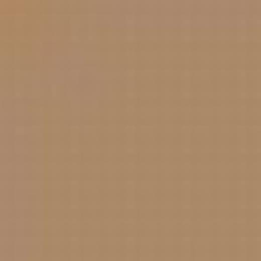 USA A20M DESERT PINK FS30279 ENAMEL 14ml