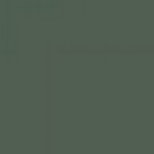 CZECH REPUBLIC C8M GREY GREEN ENAMEL 14ml