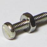 S/S 5 SCREWS c/w NUT 1x10mm