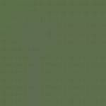 CZECH REPUBLIC C1P GREEN ENAMEL 14ml