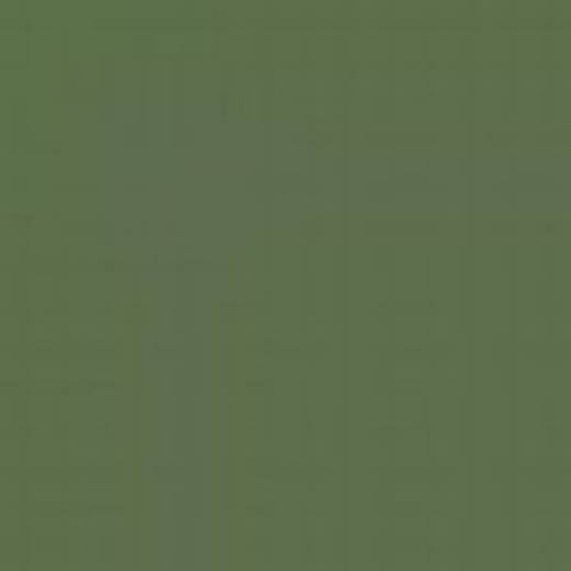 CZECH REPUBLIC C1P GREEN ENAMEL 14ml