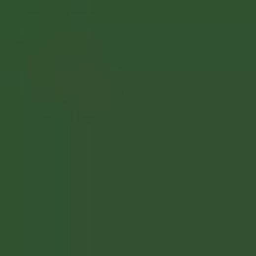 CZECH REPUBLIC C29L DARK GREEN ENAMEL 14ml