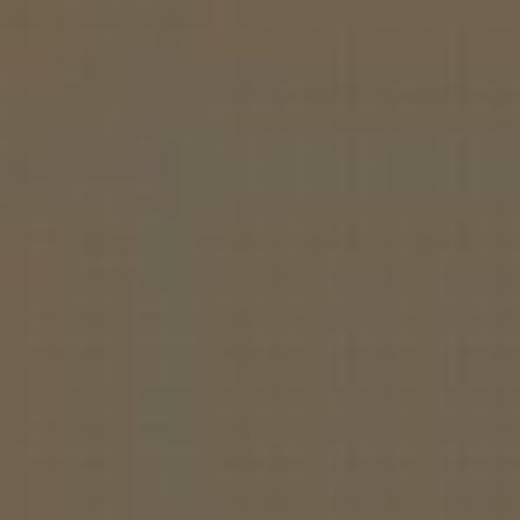 CZECH REPUBLIC C9M BROWN ENAMEL 14ml