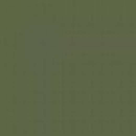 GERMANY N7M GREEN RLM62 ENAMEL 14ml