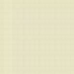 USA A21M WHITE FS37875 ENAMEL 14ml