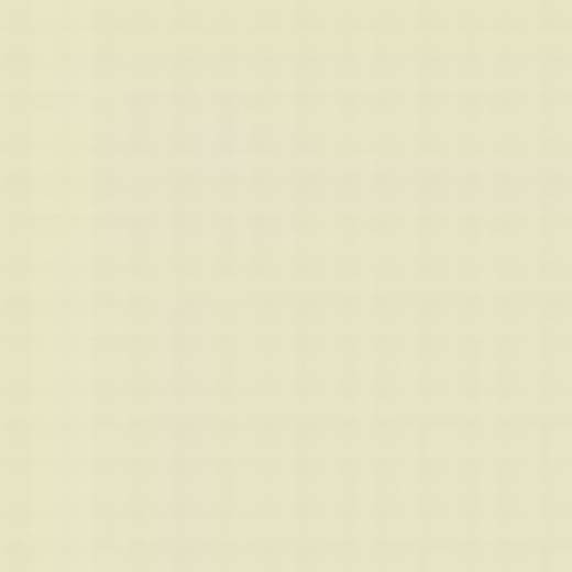 USA A21M WHITE FS37875 ENAMEL 14ml