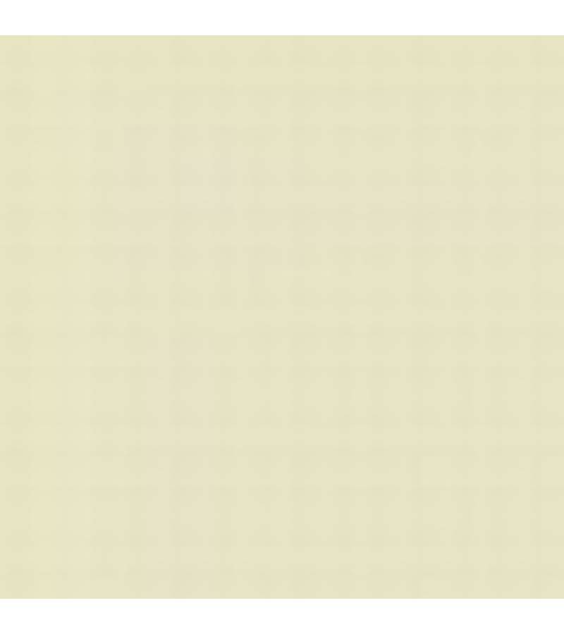 USA A21M WHITE FS37875 ENAMEL 14ml