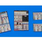 INT FLAGS & DISTRESS CODS 1/10 SCL