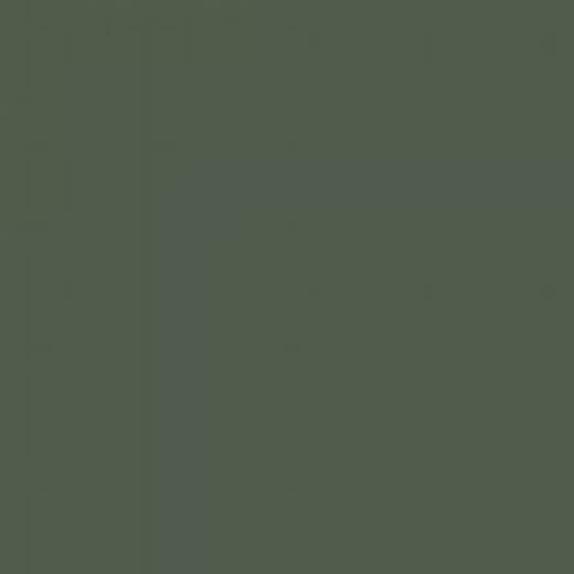 USA A2M OLIVE DRAB 41 ENAMEL 14ml