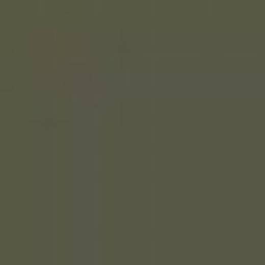 CZECH REPUBLIC C5P DARK KHAKI ENAMEL 14ml