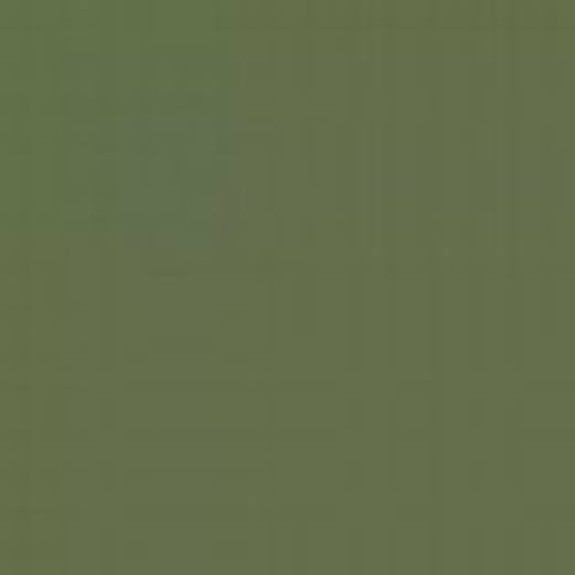 GERMANY N18M LIGHT GREEN RLM83 ENAMEL 14ml