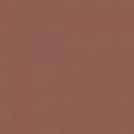 CZECH REPUBLIC C31P LIGHT EARTH ENAMEL 14ml