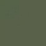 GREAT BRITAIN B1M DARK GREEN ENAMEL 14ml