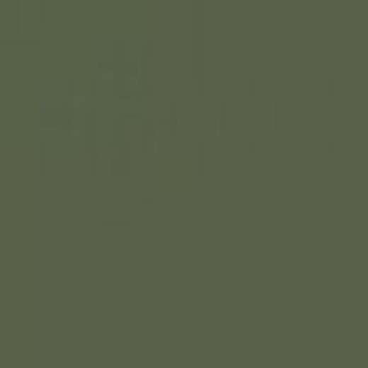 GREAT BRITAIN B1M DARK GREEN ENAMEL 14ml