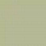 GERMANY N27M LIGHT YELLOW GREEN RLM99 ENAMEL 14ml