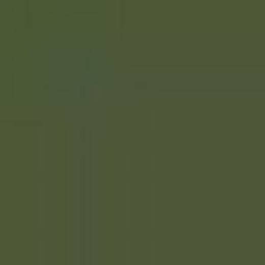 USA A36M MARINE FIELD GREEN FS34097 ENAMEL 14ml