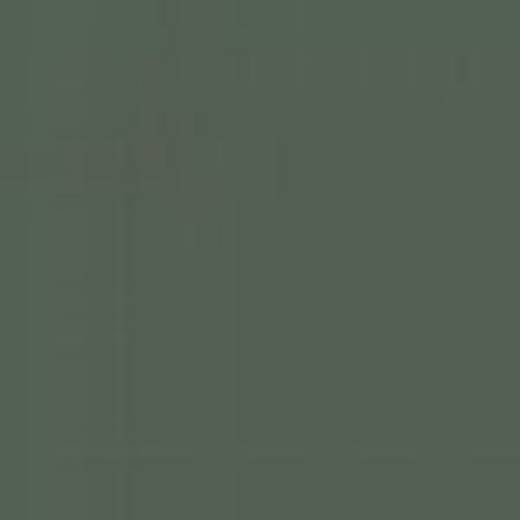 GERMANY N17M DARK GREEN RLM82 ENAMEL 14ml