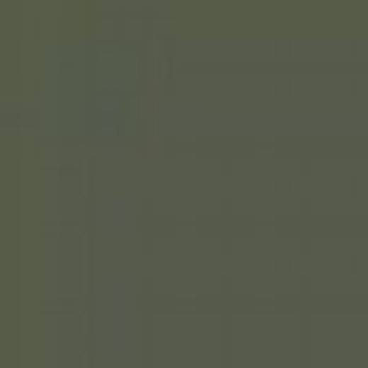 USA A7M DARK GREEN FS34079 ENAMEL 14ml