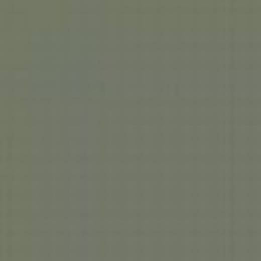 CZECH REPUBLIC C13P GREY GREEN ENAMEL 14ml